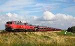 218 364-8 und 359-8 fahren hier mit ihrem unverkennbaren Dieselsound durch das Mrschland und passieren den Dreieckskoog bei Klanxbüll.