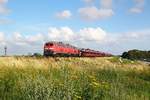 218 381-2 und 369-7 mit dem SyltShuttle am Haken passieren den Dreieckskoog Richtung Westerland.