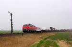 DB 218 313-5(REV/HB X/29.04.09)und 381-2(REV/HB X/18.03.09,Verl/ANB/25.02.16)mit dem SyltShuttle von Westerland nach Niebüll festgehalten am Esig Lehnshallig.