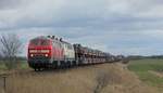 DB 218 369 und RPRS 218 480 mit SyltShuttle gen Westerland, Bü Triangel 19.03.2021 