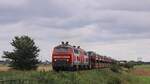 DB 218 380 und 491 mit SyltShuttle gen Westerland.