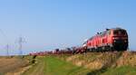 DB 218 491 + 838 mit nem SyltShuttle nach Niebüll.