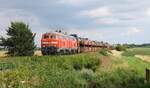 DB 218 344 + 218 832 passieren mit ihrem Autozug nach Sylt den Bü Triangel, 28.07.2023