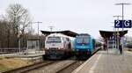 DB Original und Nachfolger....218 497 und 245 204 beim Treffen im Bhf Niebll 27.02.2024