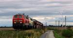 DB 218 390-3 und RPRS 218 488-5 mit SyltShuttle nach westerland.