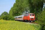 RP 218 402 (ohne Keks) vor IC 2415 Burg (Fehmarn)-Hamburg Hbf am Bü Satjewitz 23.05.2022