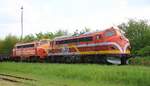 AMR MY 1131 + MjbaD MY 28 (ex DSB MY 1152) warten auf Reparatur Pattburg CFL-C 15.06.2022	  