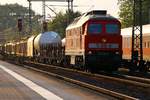 MBU 2014: DB 232 384-0 Schleswig 14.07.2014 