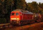 MBU 2014: DB 232 669-2(REV/BCS X/07.11.07, Verl/WRS 9/07.11.14) Schleswig 16.07.2014