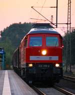 MBU 2014: DB 232 259-2 Schleswig 28.07.2014