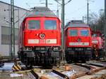 DB 233 288-0 und 232 498-6 und die  Keks  vielfalt....Maschen Rbf 11.03.2023 D.P/M.S