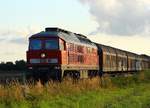 DB 233 306-0(REV/BCS X/28.07.10)dieselt hier im Abendlicht unterwegs mit ihrem Güterzug Richtung Hamburg durch Jübek.