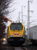 Schlafender gelber Riese in Jübek.