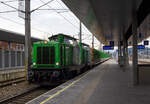 In echter Doppeltraktion fahren die beiden V 100 (ex DB BR 211), V100.54 und V100.53 der SETG - Salzburger Eisenbahn Transportlogistik GmbH (auch S-Rail GmbH oder S-Fleet GmbH), mit einem Fichtenrundholz beladenen Rungenwagen-Zug (Wagen der Gattung Snps „SFlexwood“, am 14 Januar 2025 in östlicher Richtung durch den Bahnhof Attnang-Puchheim. Die beiden V100 bekamen 2008 durch Alstom Lokomotiven Service GmbH in Stendal (D) eine Vielfachsteuerung eingebaut, so ist die echte Doppeltraktion (nur mit einem Lokführer) möglich. Die SETG / S-Rail GmbH besitzt aktuell 11 dieser V100.10 (West) bzw. ex ÖBB 2048 / ex DB 211 (V 100.51 bis 61)

Lebensläufe der Loks: 
Vorne die V100.54 (92 81 2000 085-8 A-SRA) wurde 1962 von der Maschinenbau Kiel (MaK) unter der Fabriknummer 1000117 gebaut und an die Deutsche Bundesbahn als DB V 100 1099 geliefert. Mit der Einführung der EDV-Nr. wurde sie zum 01.01.1968 zur DB 211 099-7. Im Dezember 1988 erfolgte die Ausmusterung bei der DB. Im Juni 1990 wurde sie an die Elisabeth Layritz GmbH in München (V 142-03) verkauft und nach erfolgreicher HU ging im April 1991 an die ÖBB - Österreichische Bundesbahnen und wurde als ÖBB 2048 003-4 geführt. Zwischen 1991 und 1994 erwarben die Österreichischen Bundesbahnen als kurzfristige und preisgünstige Lösung für den durch den 1991 eingeführten Neuen Austro-Takt entstandenen Mangel an Diesellokomotiven 36 von der Deutschen Bundesbahn ausgemusterte Lokomotiven der Baureihe 211 (V100.10), die ÖBB reihte sie als Reihe 2048 ein. Im Juni 2003 wurde sie dann bei der ÖBB ausgemustert, erst an die SLB - Salzburger Lokalbahn und letztendlich zum Dezember an diese verkauft, wo sie als SLB V 85 geführt wurde, 2007 bekam sie auch die UIC-Nr. 92 81 2000 085-8 A-SLB. Der Einbau einer Vielfachsteuerung erfolgte im April 2008 durch die Alstom Lokomotiven Service GmbH in Stendal (D). Im Januar 2020 wurde sie an die SETG (bzw. S-Fleet GmbH/S-Rail GmbH) verkauft, wo sie nun als V100.54 (92 81 2000 085-8 A-SRA) geführt wird. 

Dahinter die V100.53 (92 81 2000 084-1 A-SRA) wurde auch 1962 von der Maschinenbau Kiel (MaK) unter der Fabriknummer 1000102 gebaut und an die Deutsche Bundesbahn als DB V 100 1084 geliefert. Mit der Einführung der EDV-Nr. wurde sie zum 01.01.1968 zur DB 211 084-9. Im Oktober 1989 erfolgte die Ausmusterung bei der DB. Im Juni 1990 wurde sie an die Elisabeth Layritz GmbH in München (V 142-02) verkauft und nach erfolgreicher HU ging im April 1991 an die ÖBB - Österreichische Bundesbahnen und wurde als ÖBB 2048 002-6 geführt. Zwischen 1991 und 1994 erwarben die Österreichischen Bundesbahnen als kurzfristige und preisgünstige Lösung für den durch den 1991 eingeführten Neuen Austro-Takt entstandenen Mangel an Diesellokomotiven 36 von der Deutschen Bundesbahn ausgemusterte Lokomotiven der Baureihe 211 (V100.10), die ÖBB reihte sie als Reihe 2048 ein. Im Juni 2003 wurde sie dann bei der ÖBB ausgemustert, erst an die SLB - Salzburger Lokalbahn und letztendlich zum Dezember an diese verkauft, wo sie als SLB V 84 geführt wurde, 2007 bekam sie auch die UIC-Nr. 92 81 2000 084-4 A-SLB. Der Einbau einer Vielfachsteuerung erfolgte im April 2008 durch die Alstom Lokomotiven Service GmbH in Stendal (D). Im Januar 2020 wurde sie dann an die SETG (bzw. S-Fleet GmbH/S-Rail GmbH) verkauft, wo sie nun als V100.54 (92 81 2000 084-1 A-SRA) geführt wird. 

Die Snps „SFlexwood“ Wagen:
Die Salzburger EisenbahnTransportLogistik GmbH (SETG) investierte als erste Privatbahn Europa‘s in Neubau-Rungenwaggons. Das österreichische Eisenbahnunternehmen SETG hat gemeinsam mit dem slowakischen Hersteller Tatravagónka a.s. (in Poprad) einen neuen Holztransportwaggon namens Snps „SFlexwood“ entwickelt. Gegenüber herkömmlichen Rungenwagen verfügt die Neukonstruktion mit 8,8 m² über einen deutlich größeren Ladequerschnitt. Die Waggons sind mit Rungen ausgestattet, die sowohl Rundholz- als auch Schnittholztransport ermöglichen. Teile des Rungenschemels sind dazu im Wagenboden integriert, damit beim Schnittholztransport die gesamten Breite zur Verfügung steht. Die Sortimentslängen können 2,5 bis 17 m betragen und die Nutzlast liegt bei 68 t. Durch den Verzicht auf Stirnwände sollen sich bis zu 25% Fahrenergie einsparen lassen. Insgesamt hat die SETG 180 Einheiten des SFlexwood erhalten, remisiert bzw. einstellt sind sie in Deutschland als D-SRA 4723 xxx-x, die internationale Verwendungsfähigkeit ist TEN-CW. 

SFLEXWOOD ist der neue Standard-Holzwaggon: für unterschiedliche Holzlängen, Rund- und Schnittholz, kundenspezifische Zugslängen und maximal ökologisch.

Kenndaten:
Bei 17,20 m Ladelänge und Bauprofil ‚G2‘ waren letztendlich 8,8 m² Ladequerschnitt das Ergebnis detaillierter Planung. Dies stellt den größten Ladequerschnitt aller Rundholzwaggons in Europa dar. Über 68 Tonnen Nutzlast pro Waggon ergeben ein Ladungsgewicht pro Zug von max. 2.380 Tonnen. Je nach Holzbeschaffenheit lassen sich auf einem SFLEXWOOD-Zug somit bis zu 2.500 Festmeter (fm) verladen. Oder bis zu 4.200 Kubikmeter (m³) Schnittholz pro Zug. Soviel wie noch nie auf Zügen in Zentral- und Osteuropa auf Ganzzügen für den Holztransport Platz gefunden hat. Der SFLEXWOOD ist universell in den meisten Ländern Europas einsetzbar – eine wichtige Voraussetzung im flexiblen Holz-Transportmarkt. Die kompakte Länge des SFLEXWOOD-Waggons ermöglicht flexible, kundenspezifische Zuglängen, weniger Rangierbewegungen bei Be- und Entladung und damit eine optimale Auslastung der oft kurzen Lade-/Entladegleise.

Die Wagenkonstruktion ist für eine Achslast von 25 t aus der Sicht der Festigkeit ausgelegt. Der Wagen ist mit einem 70 mm dicken Holzboden und einer Ladekante ausgestattet, die den Wagenfußboden vor Beschädigungen schützt. Der Fußboden erfordert nur geringen Aufwand. Alle Bedienelemente befinden sich unter dem seitlichen Längsträger und sind so vor ungewollten Beschädigungen während der Handhabung mit dem Ladegut geschützt.