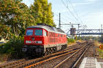 Die remotorisierte  Ludmilla  233 572-7 (92 80 1233 572-7 D-DB) der DB Cargo Deutschland AG, ex DB 232 572-8, DR 132 572-9, erreicht am 20 September 2018 als Lz den Hauptbahnhof Brandenburg an der Havel und f�hrt weiter zum Rbf (Rangierbahnhof). 

Die V 300 wurde 1978 von LTS (Luhanskyj Teplowosobudiwnyj Sawod auch bekannt als Lokomotivfabrik „Oktoberrevolution“  Lugansk (ehemals Woroschilowgrad)) unter der Fabriknummer 0832 gebaut und als 132 572-9 an die Deutsche Reichsbahn (DR) geliefert. Zum 01.01.1992 erfolgte die Umzeichnung in DR 232 572-8 und zum 01.01.1994 dann in DB 232 572-8. Im Jahre 2002 erfolgte dann der Umbau und Remotorisierung im Ausbesserungswerk Cottbus mit einem neuen Zw�lfzylinder-Viertakt-Dieselmotor vom Typ 12D49M, daraufhin erfolgte zum 28.11.2002 die Umzeichnung in DB 233 572-7.

Im November 2018 erfolgte die z-Stellung der  Ludmilla  und sie ging ins Stillstandsmanagment Chemnitz, im Oktober 2022 ging es ins Stillstandsmanagment Leipzig-Engelsdorf. Im April 2026 wurde sie an die TrainLog GmbH in Germersheim verkauft, hier tr�gt sie nun die NVR-Nummer 92 80 1233 572-7 D-TLVG.

In den 1960er Jahren wurde auf politischer Ebene beschlossen, dass der Traktionswandel in der DDR vor allem durch Diesellokomotiven zu erfolgen habe. Wegen der Spezialisierungsvereinbarungen innerhalb des RGW (Rat f�r gegenseitige Wirtschaftshilfe) konnte der k�nftige Bedarf der DR an leistungsstarken Diesellokomotiven aber nicht mehr aus einheimischer Produktion gedeckt werden, da bei so hohen PS-Leistungen elektrische Fahrmotoren ben�tigt werden. Der im deutschsprachigen Raum �bliche dieselhydraulische Antrieb fiel damit aus.

Die damalige DR hatte bis dahin keine Erfahrung mit dieselelektrischer Antriebstechnik. Zudem gab es einen Beschluss innerhalb des RGW, dass Maschinen mit mehr als 2.000 PS nicht in der DDR gebaut werden sollten, da bereits sehr viele kleinere Diesellokomotiven aus DDR-Produktion kamen und die UdSSR um ihre Vormacht bei Gro�diesellokomotiven f�rchtete. Die Versuchslok V240 blieb deshalb ein Einzelst�ck.

Neben den reinen G�terzugloks der Bauart M62 (V 200, DR-Baureihe 120) „Taigatrommel“ sollten auch 30.00 PS starke, 140 km/h schnelle Loks mit elektrischer Zugheizung (sp�ter auch 160 km/h schnelle Maschinen mit 4.000 PS Leistung) aus der Sowjetunion beschafft werden. Deren Konstruktion erfolgte nach den Vorgaben der DR bei der Lokomotivfabrik Luhansk (damals Woroschilowgrad). Da eine zentrale elektrische Zugheizung f�r russische Verh�ltnisse eher ungeeignet ist, mussten entsprechende Aggregate v�llig neu entwickelt werden und standen zum Lieferbeginn noch nicht zur Verf�gung.

Die Lokomotiven der Baureihe 130 (DB 230), BR 131 (DB 231), BR 132 (DB 232, 233, 234 und 241) und BR 142 (DB 242) wurden ab 1970 aus der damaligen Sowjetunion in die DDR importiert und bei der Deutschen Reichsbahn in Dienst gestellt. Die Baumuster wurden noch als V 300 auf der Leipziger Messe vorgestellt.

Von der Baureihenfamilie wurden zwischen 1970 und 1982 insgesamt 873 St�ck in Dienst gestellt. Im Volksmund sind die Dieselmaschinen unter dem Namen „Ludmilla“  gel�ufig. Heute sind bei der Deutschen Bahn nur noch aus der Baureihe 132 hervorgegangene Lokomotiven im Einsatz.

Die Umbau-Baureihe 233:
Im Jahre 2002 begann man mit dem Stabilisierungsprogramm der BR 232, zur Erh�hung der Zuverl�ssigkeit, Verf�gbarkeit und Wirtschaftlichkeit, sowie der Reduzierung der Emissionswerte, der Umbau bestand im Wesentlichen aus:
Die Lok der BR 232 erhielt nun einen direkteinspritzenden V-12-Zylinder-Viertakt-Dieselmotor des russischen Typs Kolomna 12D49M  einer Nennleistung von 2.206 kW und einer maximal eingestellten Traktionsleistung von 1.900 kW ausger�stet worden. Da der Umbau f�r den russischen Motor am geringsten war, entschied man sich f�r den Einbau dieses Motors. W�hrend der Originalmotor ein 16-V-Zylinder-Dieselmotor (Kolomna 5D49) war, ist der neue Motor nur noch ein 12-Zylinder-V- Dieselmotor. Der der neue Motor hat einen Hubraum von 165,6 l gegen�ber 220,9 l des alten Motors, die fast gleiche Leistung wird u.a. durch einen h�heren Ladedruck erreicht. Dieser wurde von 1,3 bar auf nun 2,1 bar erh�ht. Aber auch der Einspritzdruck (Beginndruck 380 bar gegen�ber 320 bar) und der max. Verbrennungsdruck (140 bar gegen�ber 115 bar) sind entsprechend h�her. Wie auch beim alten Motor k�nnen einzelne Zylindergruppen zur Dieseleinsparung bei Nichtbedarf abgeschaltet werden. Insgesamt wurden 65 Lokomotiven mit dem neuen Motor Typ Kolomna 12D49M ausgestattet und zur Unterscheidung als Baureihe 233 bezeichnet, dabei wurden die alten Ordnungsnummern beibehalten. 

System�nderungen gegen�ber dem 5D49 bestehen vor allem im Zweikreisk�hlsystem, der Ausstattung mit zwei �lw�rmetauschern und der Notabstellung mittels Notstopp bzw. Luftabsperrklappe.
Die ver�nderte Lage des Abgasturboladers des 12D49M gegen�ber dem 5D49 im Lokkasten erforderte au�erdem den Einbau eines gek�rzten Schalld�mpfers. Weiterhin wurde die Verbrennungsluftanlage auf eine mit vier Papierfiltereins�tzen best�ckte einseitige Luftansauganlage umger�stet. 

TECHNISCHE DATEN der BR 233:
Spurweite: 	1.435 mm (Normalspur)
Achsformel: Co’Co’
L�nge �ber Puffer: 20.820 mm
Achsabstand im Drehgestell:  2 x 1.850 mm (3.700 mm)
Dienstgewicht: 122t
Radsatzfahrmasse:  20,4 t 
Anfahrzugkraft: 294 kN
Dauerzugkraft: 194 kN
H�chstgeschwindigkeit: 120 km/h
Treibraddurchmesser: 	1050 mm

Motorart: direkteinspritzenden V-12-Zylinder-Viertakt-Dieselmotor mit Abgasturbolader und Ladeluftk�hlung, 4 Ventile pro Zylinder
Motorentyp: Kolomna 12D49M
Motorleistung: 2.206kW (2.999 PS) bei 1.000 U/min
Motorhubraum: 165,6 l
Ladeluftdruck: 2,1 bar
Einspritzbeginndruck: 380 bar
Max. Verbrennungsdruck: 140 bar
Motorgewicht (trocken): 17.750 kg

Leistungs�bertragung: elektrisch
Traktionsgeneratortyp: GS-501A
Traktionsgeneratorleistung: 2.190kW
Traktionsleistung: 1.830 kW (6 x 305 kW)
Anzahl der Fahrmotoren: 6 (� 305 kW)
Fahrmotortyp: ED 118 A
Tankinhalt: max. 6000 l
