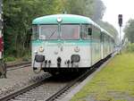 798 653 Ulmer Spatz in Rechtenstein am 14.09.2013.