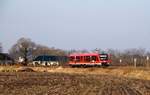 DB 0648 339/839  Lensahn  aufgenommen am Abzweiger nach Husum kurz vor dem Bü Sollbrück I.