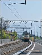 Angenehm  überrascht wurde beim Warten in St-Saphorin der wunderschönen 103 184-8 die mit einem  TEE  Zug in Richtung Lausanne fuhr. Leider war die DB 103 184- nur wenige Jahre mit TEE-Sonderzügen in der Schweiz unterwegs. 

26. April 2011