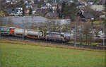 Schlechtwetter und ein Baustellendrama bei Frick. 

193 545 'Landungsbrücken Hamburg' zieht für SBBCI einen Tanktainerzug den Bözberg hoch. Februar 2026.