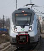 Hamster sehr nah bei der Einfahrt in Leipzig Nord.08.03.2014