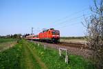 DB Regio 143 930-6 mit der RB nach Neumünster aufgenommen in Schuby bei Schleswig.