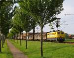 Frühlingserwachen in Pattburg mit der gelben EGP 151 007 vor dem Zementexpreß nach Deuna, 30.04.2024