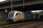 WLB 182 564-5/ES64U2-064 durchquert HH-Harburg mit einem Containerzug am Haken.