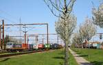 Hochbetrieb im Bahnhof Pattburg am 21.04.2023 um 12.11 Uhr: Hectorrail 241.005 ; DB 185 401 ;  GreenCargo Br 5333 ; Viking Rail MY 1146 ; SEL 181 213 