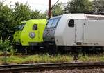 TXL 185 538-6 und Alphatrain/CFL Cargo 185 534-4 abgestellt im Gbf Padborg.