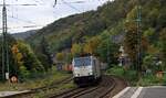 RP 186 293-7 mit KLV gen Koblenz. Bacharach 26.10.2023 I