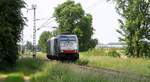 RP 186 104 Lz bei Boisheim 06.06.2024