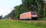 DB 189 077-1 mit Güterzug, Baumschule bei Kaldenkirchen 08.06.2024