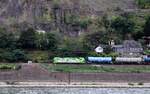 RheinCargo 3001 oder 192 031 mit Öler  über den Rhein  aufgenommen.