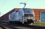 Railpool/TXL 193 806-7, der erste Vectron im Regeldienst in Padborg, 01.05.16