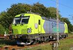 Der fabrikneue ATLU/GreenCargo Vectron 193 405 glänzt in der Abendsonne, Pattburg/Padborg 10.08.2023 