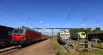 DSB EB 3207 Captrain 193 781 und Hector 193 411 beim meeting in Padborg/DK 20.05.2024