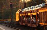 Hier mal der etwas andere Blick auf den EZ/GD 47420 der in Schleswig wegen seiner Länge auf den Gegenzug aus Husum in der Abendsonne warten musste.