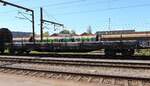 D-DB 31 80 3936 250-0 Gattung Res686 Pattburg 20.05.24