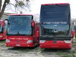 Mercedes Travego und Van Hool TX27 von URB aus Deutschland in Ueckermünde.