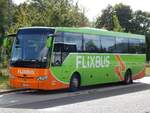 Temsa HD13 von FlixBus/Tholen aus Deutschland in Greifswald.