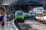 Die an die IGE - Internationale Gesellschaft f�r Eisenbahnverkehr f�r FlixTrain vermietete Siemens Vectron AC 193 604-6 / X4 E – 604 (91 80 6193 604-6 D-DISPO) der MRCE Dispolok GmbH (M�nchen)