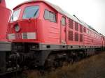 232 577-7 ex.Bh Nrnberg am 24.Januar 2009 in Mukran West.Zur Verschrottung am 23.Mrz 2010 abgefahren.