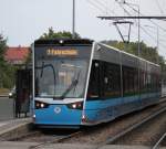 Die spanische Schlange machte am 22.08.2014 Fahrschule im Rostocker Stadtgebiet