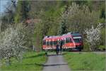 644 049 wird von den Autozugfotografen noch ins Visir genommen. Beuggen, April 2019.