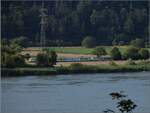 Hochwasser am Hochrhein.