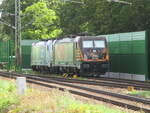 HSL 187 536,am 28.Juli 2024,in Angermünde.