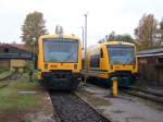 ODEG VT650.76 und VT650.73 auf ihren Stammabstellplatz in Berlin Lichtenberg am 16.Oktober 2010.