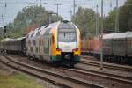 119 158-4+445 110-0 und 143 001-6 abgestellt im Bahnhof Rostock-Bramow.09.08.2014