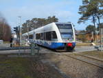 Der UBB 646 104,am 02.Mrz 2019,am Haltepunkt Stubbenfelde auf Usedom.