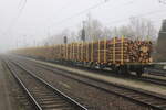 Holzzug von Rostock-Bramow nach Stendal-Niedergörne stand am 03.03.2024 in Rostock-Bramow.